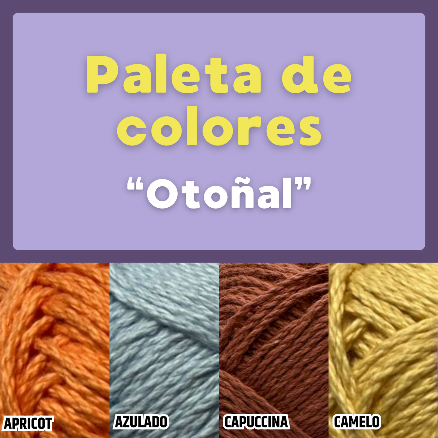 Paquete Golf Multicolor 10 madejas 50 gr