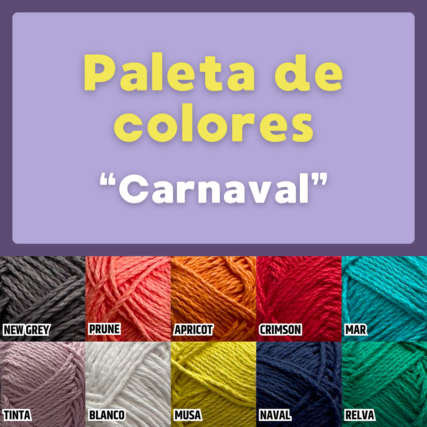 Paquete Golf Multicolor 10 madejas 50 gr