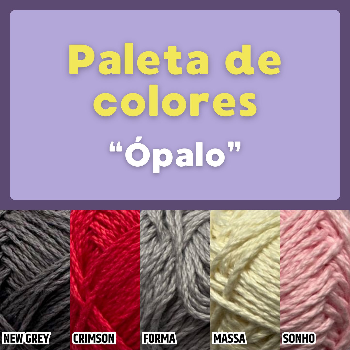 Paquete Golf Multicolor 10 madejas 50 gr