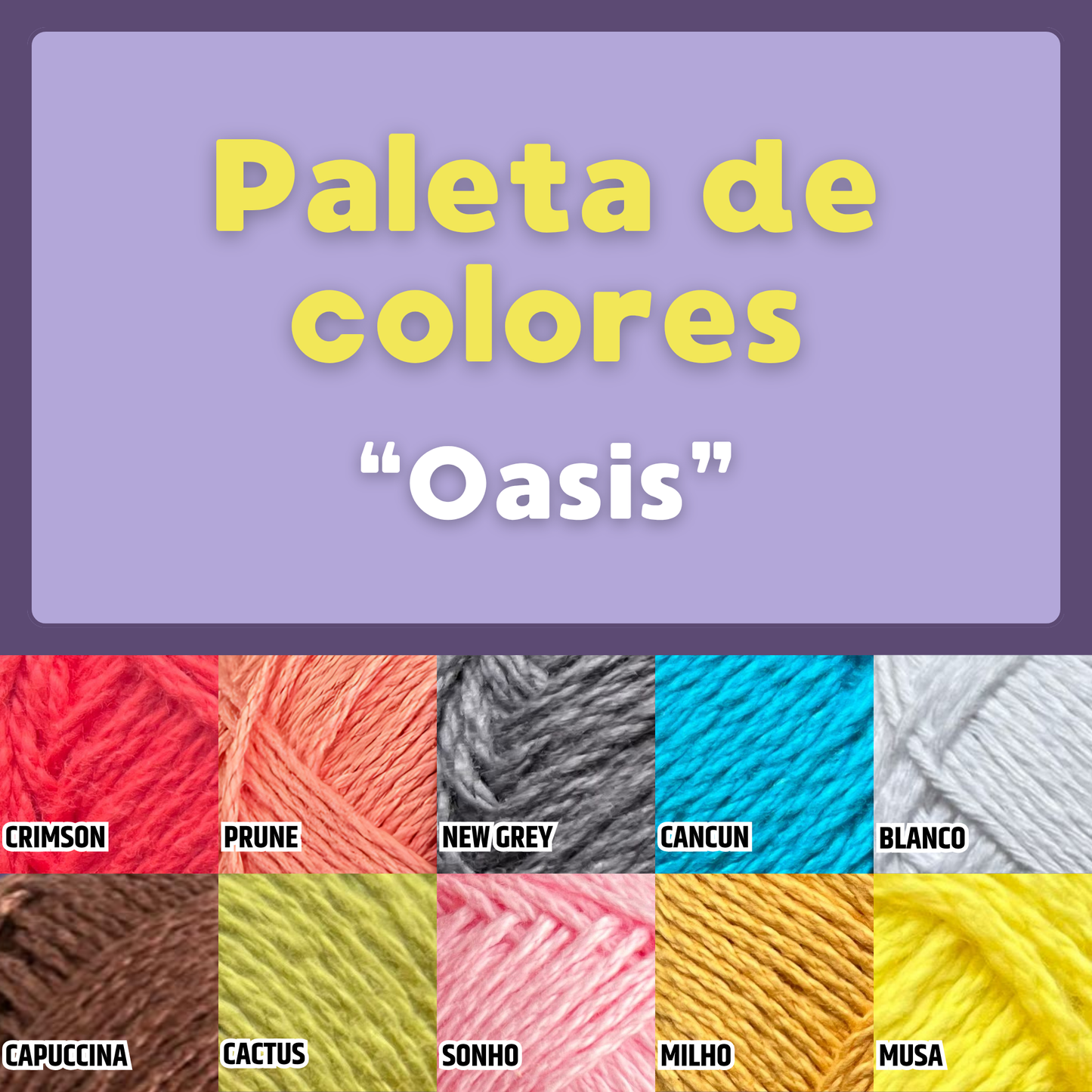Paquete Golf Multicolor 10 madejas 50 gr