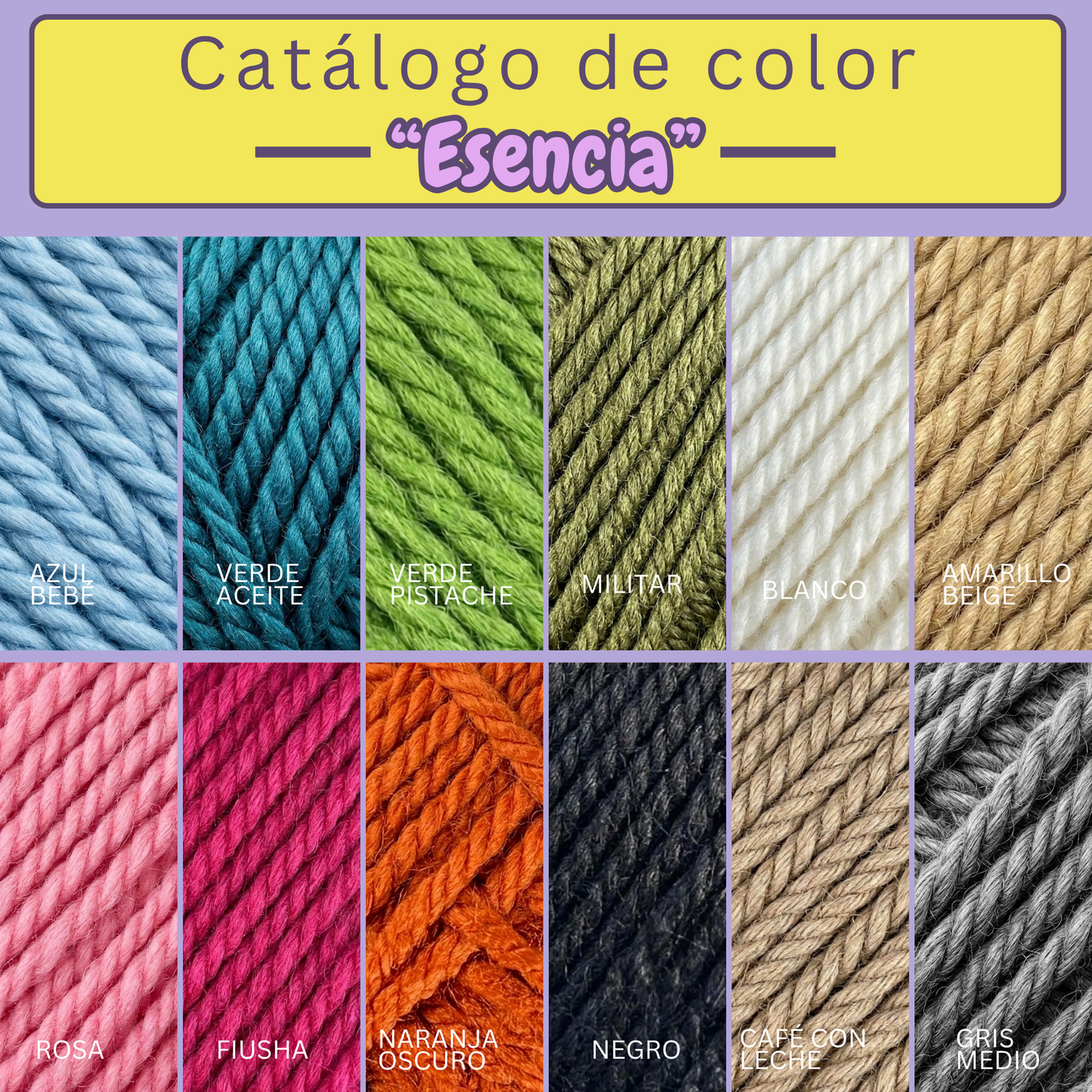 Paquete Charlie Multicolor 12 madejas 25 gr